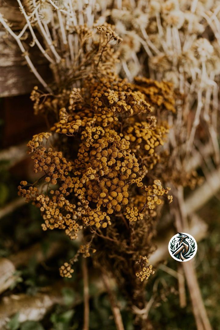 Équinoxe d’Automne : Un instant suspendu entre ombre et lumière 🍂✨